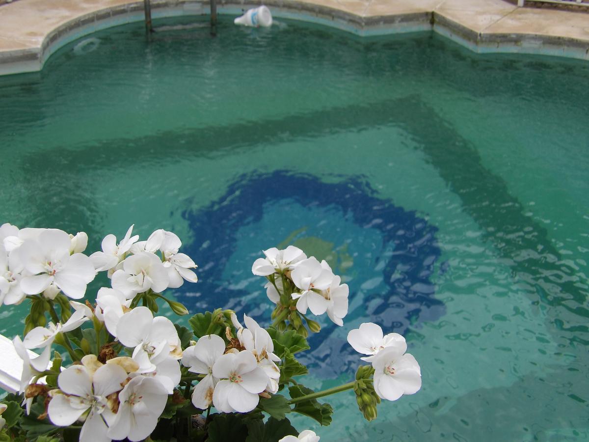 Palacio Donana , Rural & Luxury El Rocio Ngoại thất bức ảnh